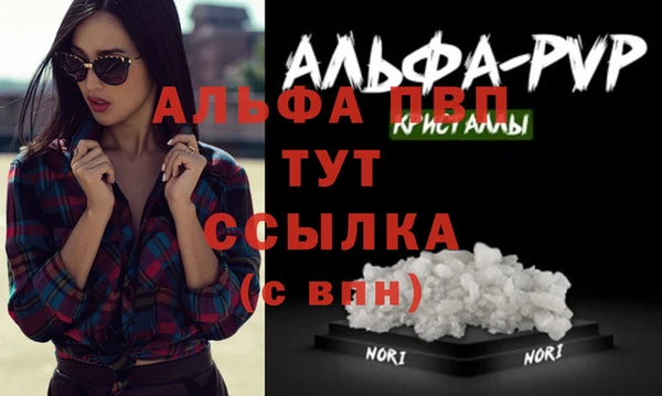 дживик Арсеньев
