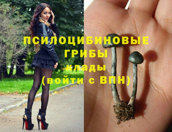 дживик Арсеньев