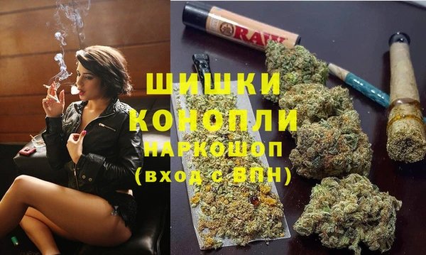 дживик Аркадак