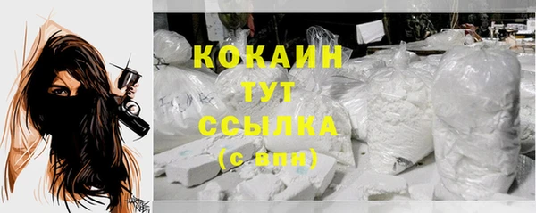 дживик Арсеньев