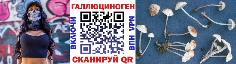 Псилоцибиновые грибы прущие грибы  Купить закладки  Николаевск-на-Амуре 
